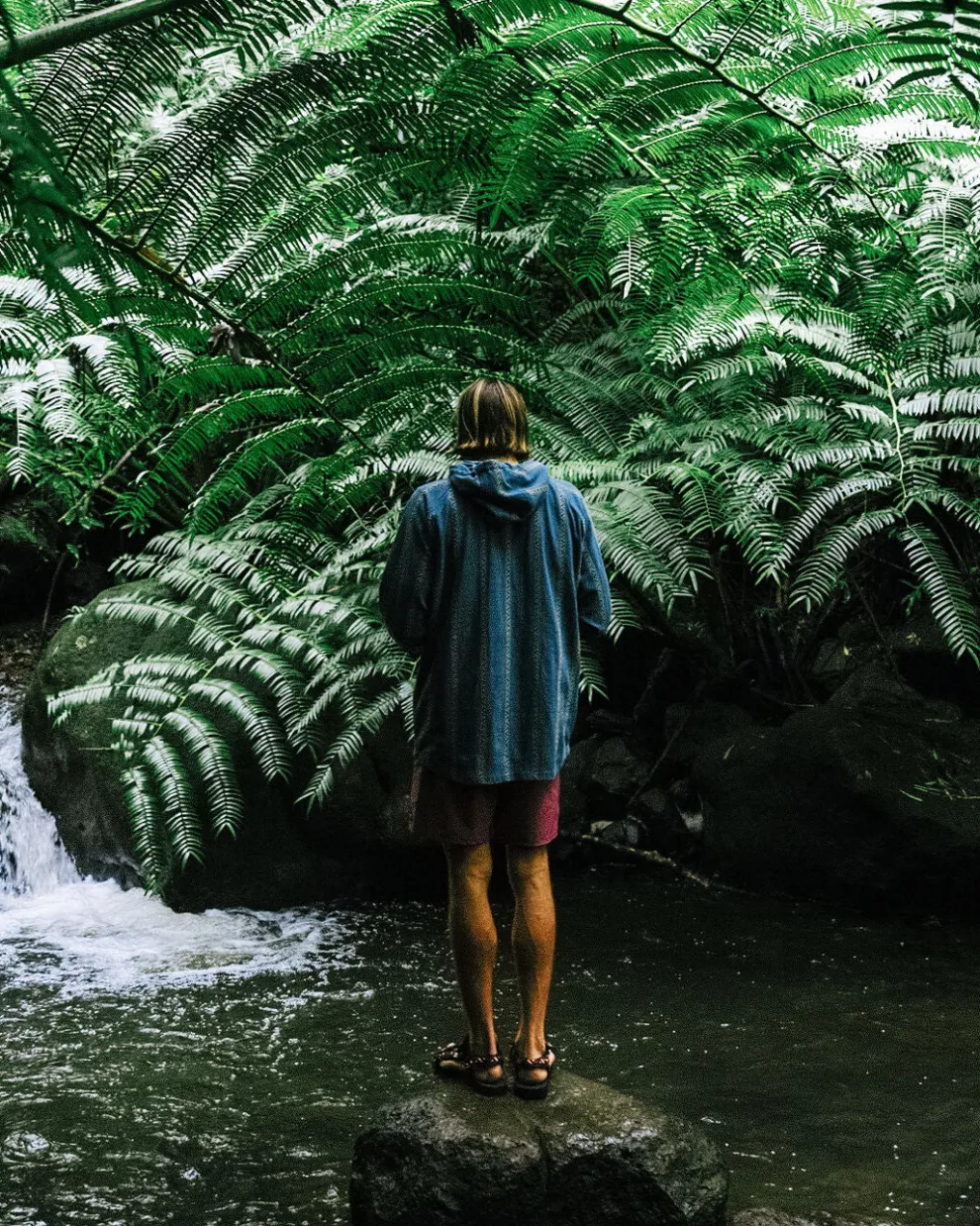 Dune 1/2 Zip Organic Cotton Hoodie